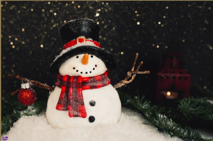 Snowman Costume