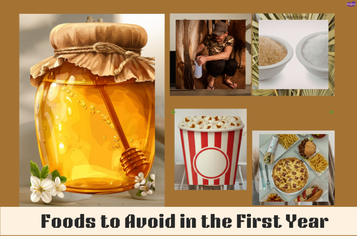 Foods to avoid in the first year for babies: Including honey, processed foods, and other unsafe options when introducing solid foods for babies.