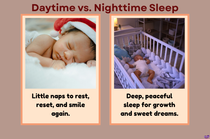 Newborn sleep patterns showing daytime naps and nighttime sleep in a calm, safe environment