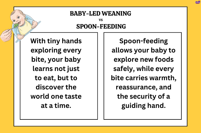Baby-led weaning vs spoon-feeding comparison: Helping your baby explore solid foods for babies with either approach, both promoting healthy eating habits.