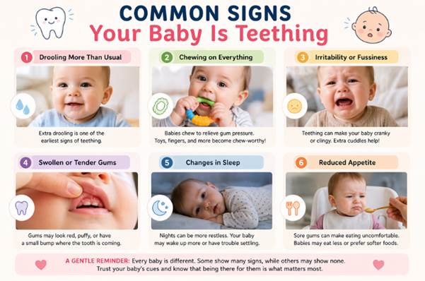 Common Signs Your Baby Is Teething