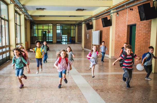 Best Activity for Students in School