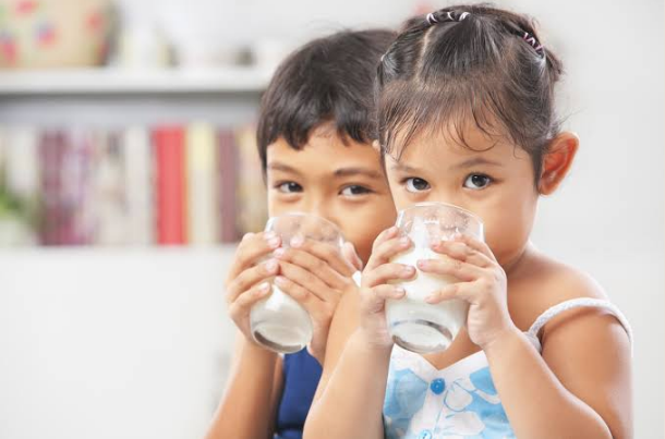 Best Milk for 4 Year Old